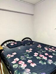Blk 115 Bukit Purmei Road (Bukit Merah), HDB 4 Rooms #624560071